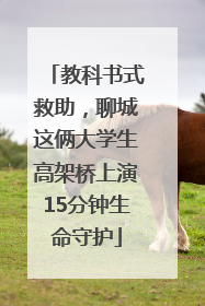 教科书式救助，聊城这俩大学生高架桥上演15分钟生命守护